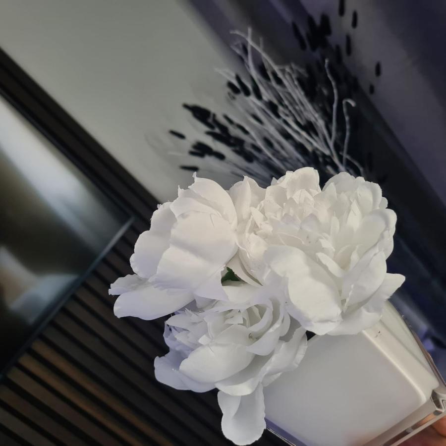 Luxury 9Ine Penthouse With Garden & Jacuzzi Appartement Birmingham Buitenkant foto